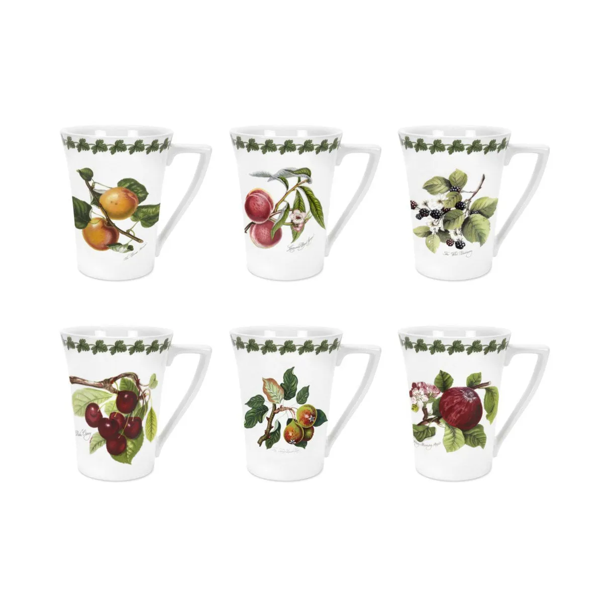 Portmeirion Pomona Mandarin Mug Assorted 280ml (price per item)